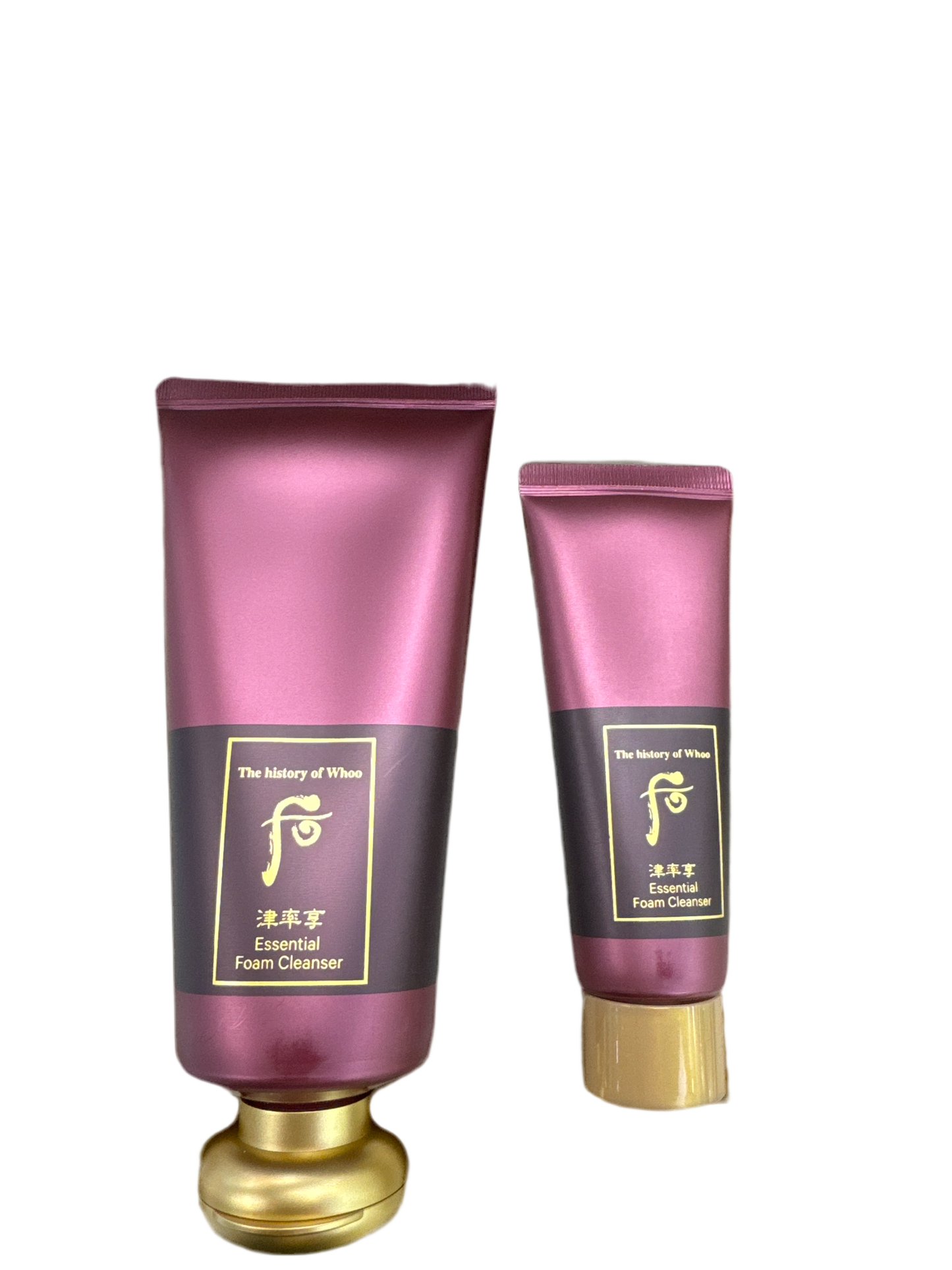 WHOO Essential Foam Cleanser Special Set