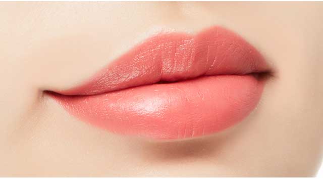 Missha Silky Lasting Lip Pencil (Coffee Berry)