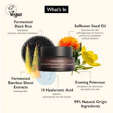 Haruharu wonder Black rice 10 Hyaluronic cream unscented for sensitive skin 50ml