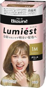 Kai Blaune lumiest hair color 1M matte ash