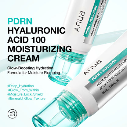 Anua 100+ PDRN Hyaluronic Acid 100 Moisturizing Cream 60ml