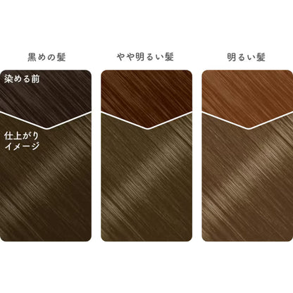 Hoyu Beautylabo Hair Dye (Creamy Cappocino)