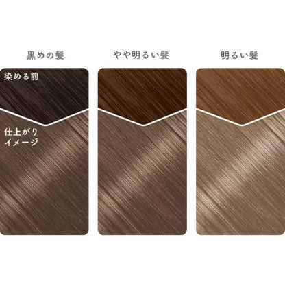 Hoyu Beautylabo Hair Dye (Ash Drop)