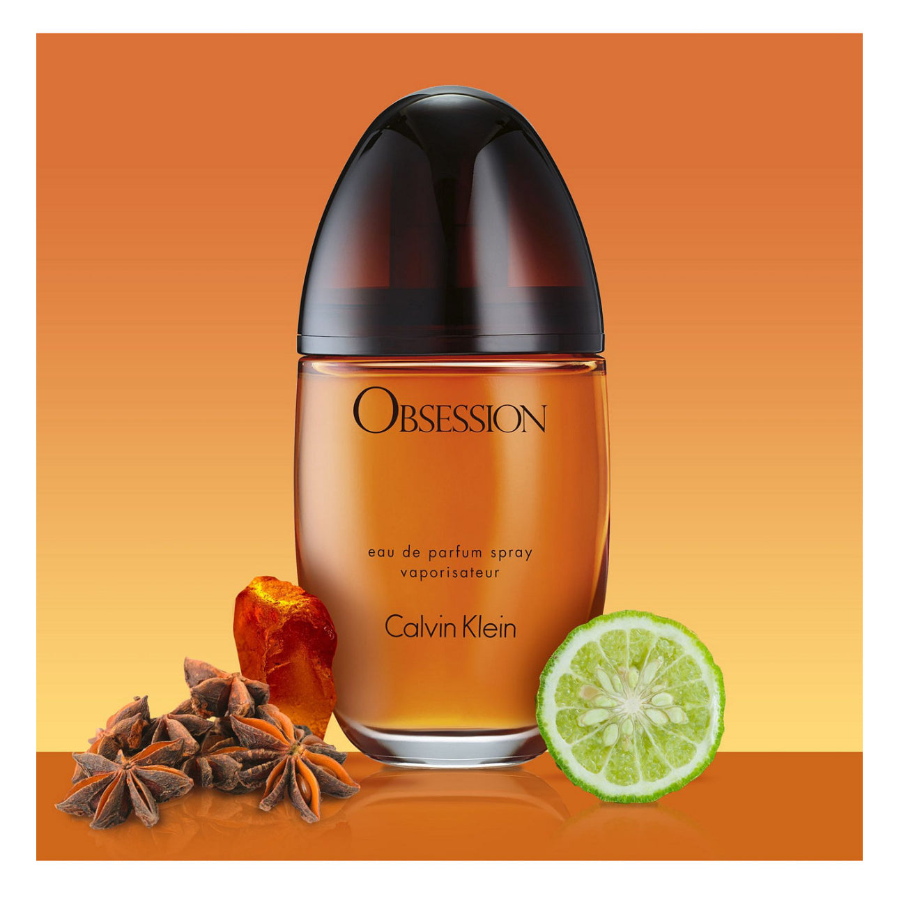 Calvin Klein Obsession 3.4oz EDP (ladies)