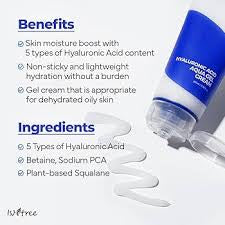 Isntree Hyaluronic Acid Aqua Gel Cream 100ml
