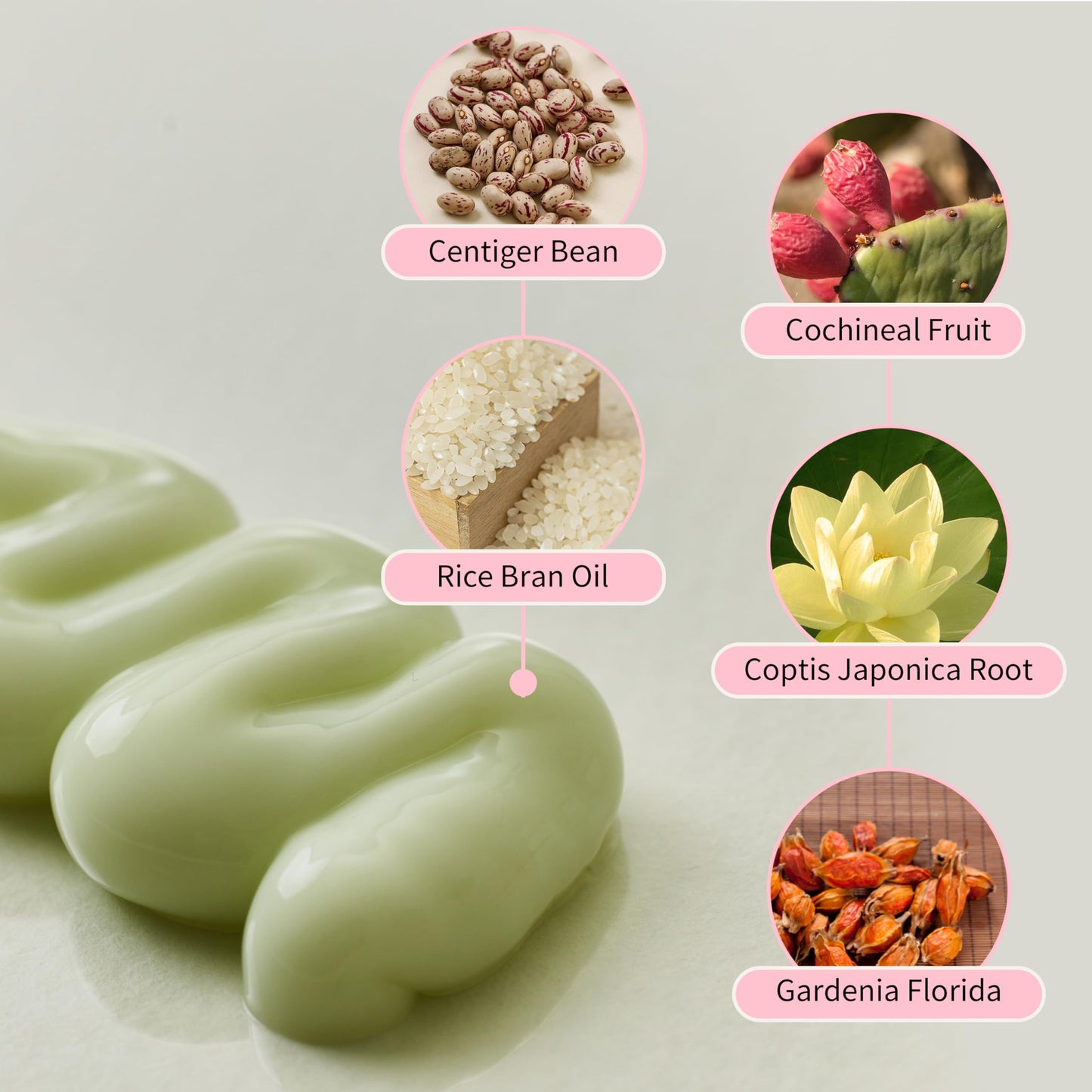 Beauty of Joseon Jello Skin Massage Cream for Face&Body