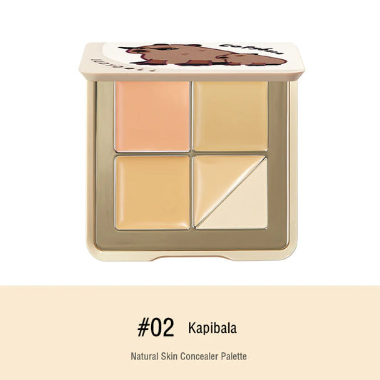 Judydoll 5 Shades Concealer Palette #2 Natur Skin Tone 6g